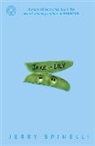 Jerry Spinelli - Jake and Lily