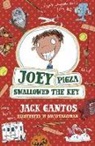 Jack Gantos, Gantos Jack, David Tazzyman, Tazzyman David - Joey Pigza Swallowed the Key