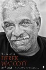 Derek Walcott Estate, Derek Walcott - The Poetry of Derek Walcott 1948-2013