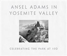 Peter Galassi, Ansel Adams, Ansel Adams - Ansel Adams in Yosemite Valley