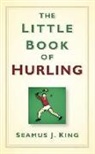 Seamus J. King, Seamus King, Seamus J King, Seamus J. King - The Little Book of Hurling