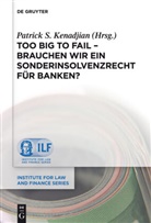 Patrick S. Kenadjian, Patric S Kenadjian, Patrick S Kenadjian - Too Big To Fail - Brauchen wir ein Sonderinsolvenzrecht für Banken?