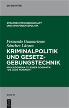 Fernando Guanarteme Sanchez Lazaro, Fernando G. Sánchez Lázaro, Fernando G. Sánchez-Lázaro - Kriminalpolitik und Gesetzgebungstechnik