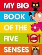 Patrick George, Patrick George - My Big Book of the Five Senses