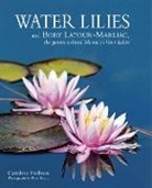 Caroline Holmes - Water Lilies