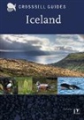 Dirk Hilbers, ANDY JONES - Iceland