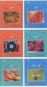 Mahmoud Gaafar, Mahmoud Gaafar, Jane Wightwick - Small Wonders Series: Complete Set