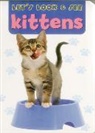Armadillo, Armadillo Press - Kittens