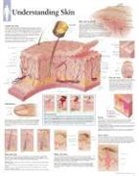 Scientific Publishing, Scientific Publishing - Understanding Skin Paper Poster