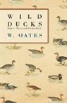W. Oates - Wild Ducks - How to Rear and Shoot Them