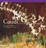 Jordi Puig, Laurent Cohen, Pere-Gabriel Llabrés, Pere Llabrés i Martorell, Pere Vivas, Pere-Gabriel Llabrés... - GAUDI ET LA CATHEDRALE DE MAJORQUE