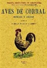 Domingo Massuet y Amoros - Aves de corral