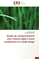 Abdelkhallek Boufars, Add Mouacha, Addi Mouacha - Etude de comportement d un chenal