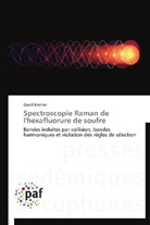 David Kremer, Kremer-d - Spectroscopie raman de l