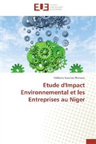 Halilatou Issoufou Mamane, Mamane-h - Etude d impact environnemental et