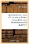 Emile Guimet, Guimet-e - Apres la guerre: notes d economie
