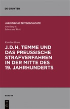 Karoline Peters - J. D. H. Temme und das preußische Strafverfahren in der Mitte des 19. Jahrhunderts