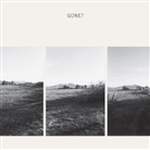 Robert Adams, Robert D. Adams - Gone?