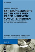 Andrey Shatelyuk - Sanierungskredite in der Krise und in der Insolvenz von Unternehmen