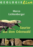 Marco Lichtenberger - Saurier aus dem Odenwald