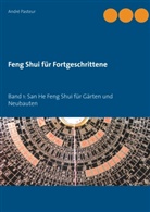 André Pasteur - Feng Shui für Fortgeschrittene. Bd.1