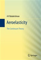 Av Balakrishnan - Aeroelasticity