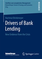 Hartmut Brinkmeyer - Drivers of Bank Lending