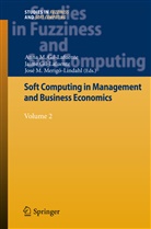 Anna M. Gil-Lafuente, Jaim Gil-Lafuente, Jaime Gil-Lafuente, José M Merigó-Lindahl, José M. Merigó-Lindahl - Soft Computing in Management and Business Economics