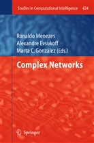 Marta C González, Alexandr Evsukoff, Alexandre Evsukoff, Marta C. González, Ronaldo Menezes - Complex Networks