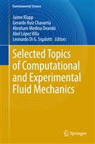 López Abel, Jaime Klapp, Abel López Villa, Abraham Medina, Abraham Medina Ovando, Abrah Medina Ovando et al... - Selected Topics of Computational and Experimental Fluid Mechanics