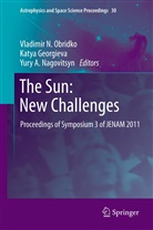Yury A Nagovitsyn, Katy Georgieva, Katya Georgieva, Yury A. Nagovitsyn, Vladimir N. Obridko - The Sun: New Challenges