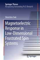 Shinichiro Seki - Magnetoelectric Response in Low-Dimensional Frustrated Spin Systems