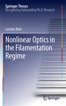Carsten Brée - Nonlinear Optics in the Filamentation Regime