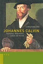 Christian Link - Johannes Calvin - Humanist, Reformator, Lehrer der Kirche