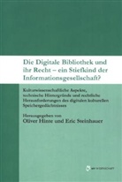 Olive Hinte, Oliver Hinte, STEINHAUER, Eric Steinhauer - Die Digitale Bibliothek und ihr Recht - ein Stiefkind der Informationsgesellschaft?
