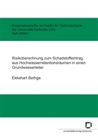 Ekkehart Bethge - Risikoberechnung zum Schadstoffeintrag aus Hochwasserretentionsräumen in einen Grundwasserleiter