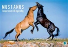 Calvendo, KIRCHER - Temperamentvoll eigenwillig: Mustangs (Posterbuch DIN A3 quer)