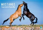 Calvendo, KIRCHER - Temperamentvoll eigenwillig: Mustangs (Posterbuch DIN A4 quer)
