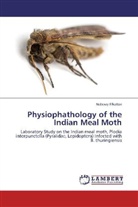 Nabawy Elkattan - Physiophathology of the Indian Meal Moth