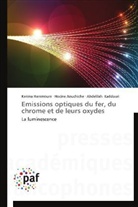 Hocin Aouchiche, Hocine Aouchiche, Karim Hammoum, Karima Hammoum, Abdeli Kaddouri, Abdelilah Kaddouri - Emissions optiques du fer, du
