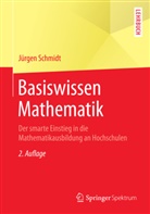 Jürgen Schmidt - Basiswissen Mathematik
