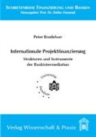 Peter Brodehser - Internationale Projektfinanzierung