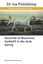 Abdel Fattah Abdallah Hussein - Downfall of Muammar Gaddaffi in the Arab Spring