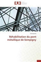 Elie Nawwar, Nawwar-e - Rehabilitation du pont metallique