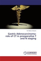 Rui Mateus Marques - Gastric Adenocarcinoma: role of CT in preoperative T and N staging