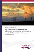 Gerardo González Filgueira - Aparamenta de alta tensión