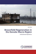 Ana Peri¿, Ana Peric - Brownfield Regeneration in the Danube Macro-Region