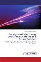 Alexander Shalyt-Margolin - Gravity at All the Energy Levels. The Contours of a Future Building