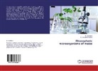 C Sankaranarayanan, C. Sankaranarayanan, Sasidhara, R Sasidhara, R. Sasidhara - Rhizospheric microorganisms of maize