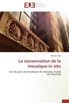 Nesrine Kab, Kab-n - La conservation de la mosaique in